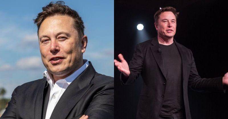 Pinterest/Choupe/KNineVox